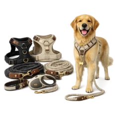 Hundegeschirr & Leinen