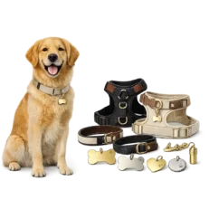 Hundehalsband & ID